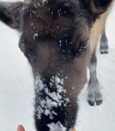 Apartment Moderne Og Privat I Tromso- Gratis Parkering!