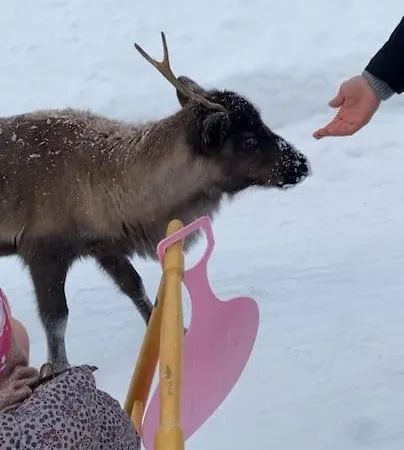 Moderne Og Privat I Tromso- Gratis Parkering! *